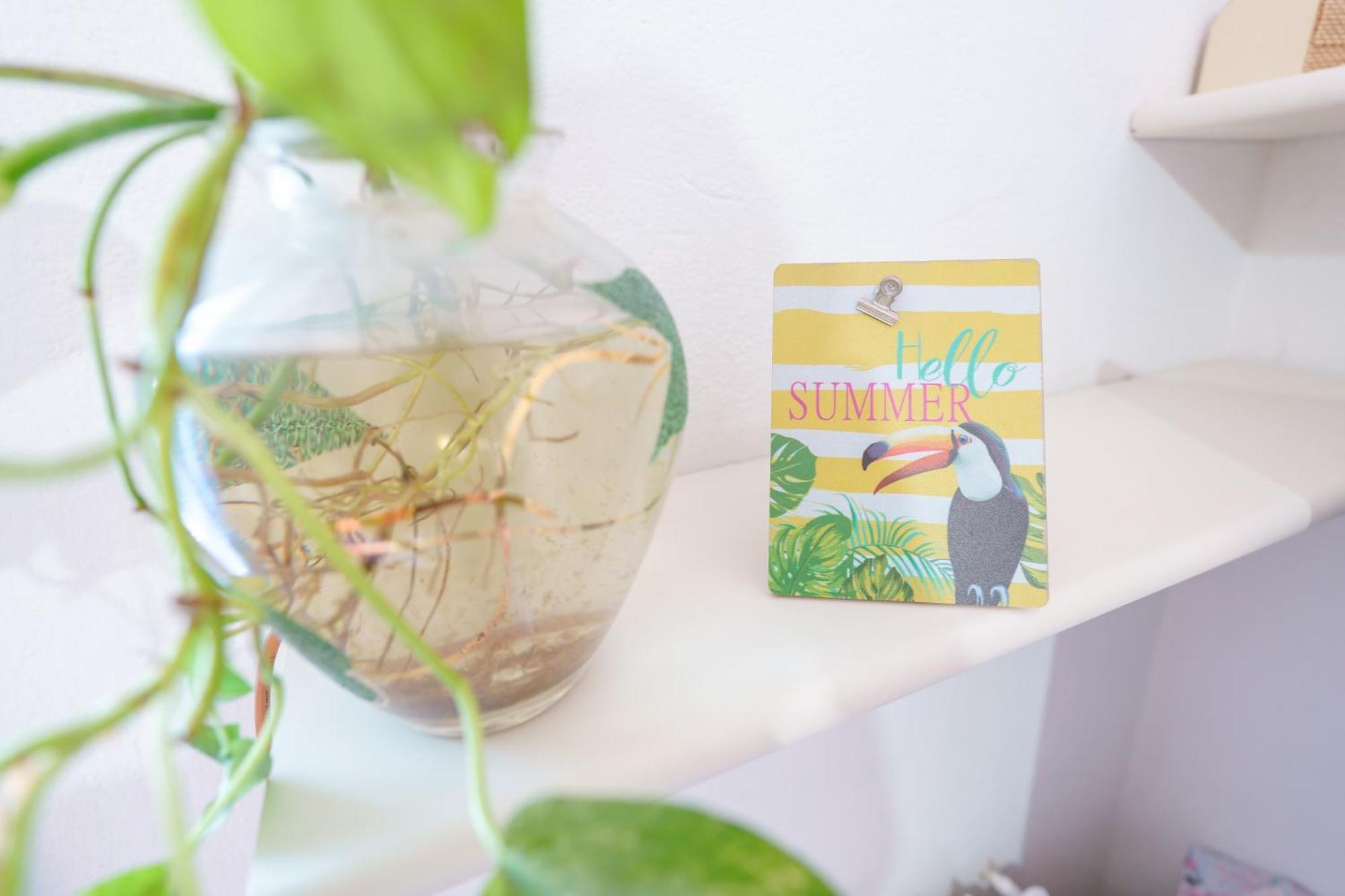 B&B Pothos - Eng Ita - Air Conditioning Wi-Fi Fridge Netflix Local Guide - Aria Condizionata, Frigo, Internet, Guida Locale Κάλιαρι Εξωτερικό φωτογραφία